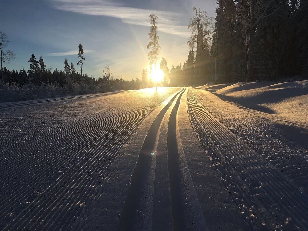 Buffils Annas väg 20